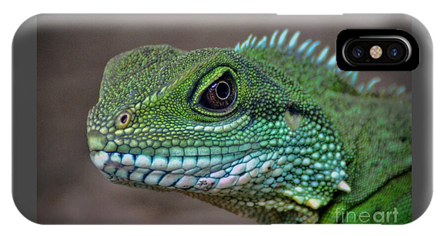 Chinese iPhone X Case featuring the photograph Chinese Water Dragon by Savannah Gibbs