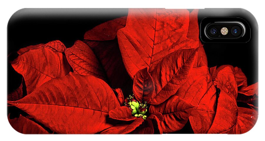 Pointsettia iPhone X Case featuring the photograph Christmas Fire by Christopher Holmes