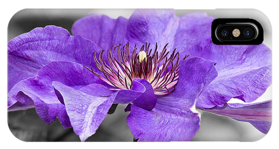 Clematis iPhone X Case featuring the photograph Clematis by Scott Carruthers