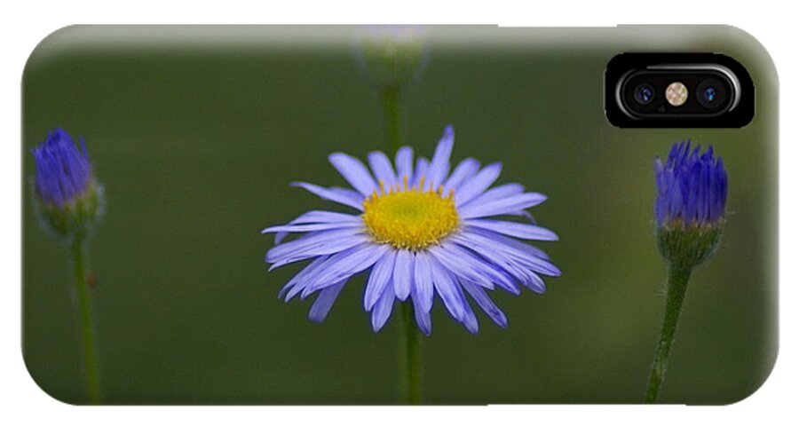 Flowers iPhone X Case featuring the photograph Close Friends by Ben Upham III