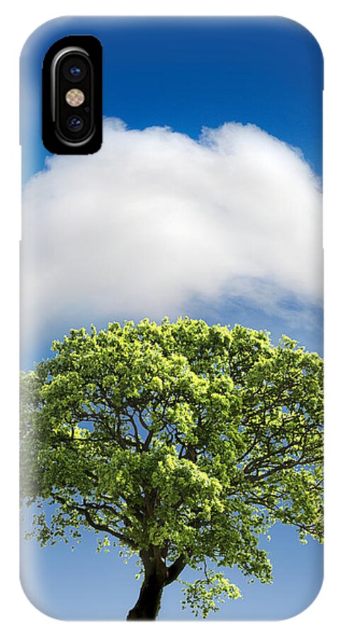 Tree iPhone X Case featuring the photograph Cloud Cover by Mal Bray