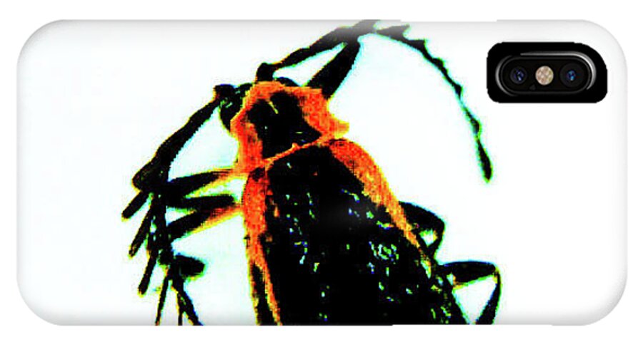 Bug iPhone X Case featuring the photograph Coloful Beetle by Barbara Searcy