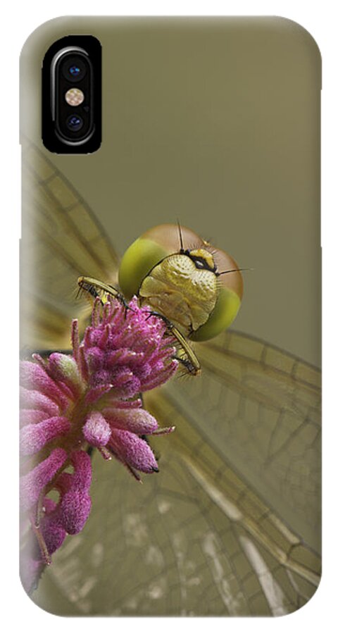 Dragonfly iPhone X Case featuring the photograph Common Darter Dragonfly by Andy Astbury