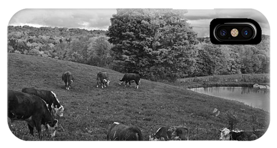 Jenne iPhone X Case featuring the photograph Congregating Cows. Jenne Farm Cow Reading Vermont Black and White by Toby McGuire