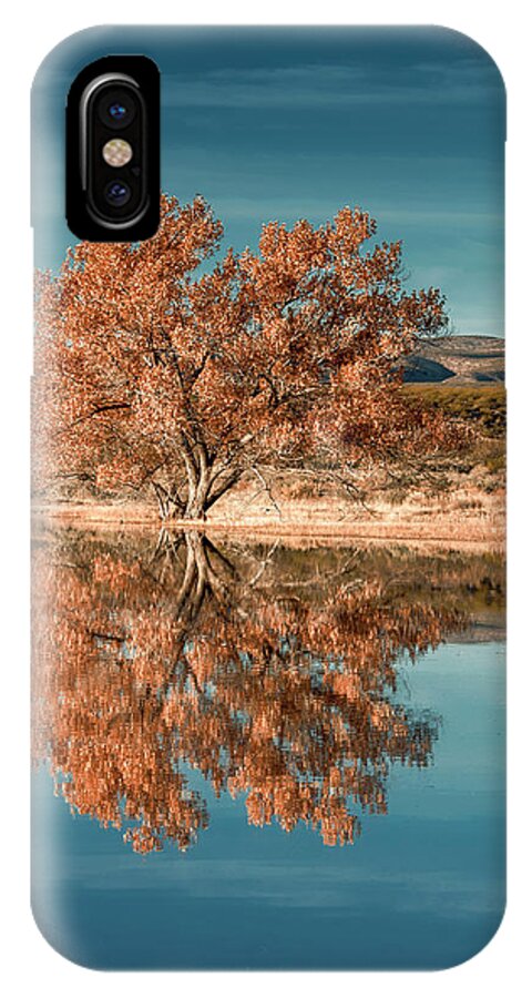 Birds iPhone X Case featuring the photograph Cotton wood tree by Usha Peddamatham