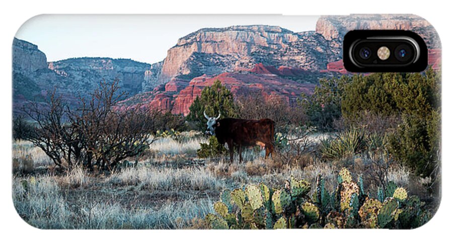 Cow iPhone X Case featuring the photograph Cow at Red Rock by Susie Weaver