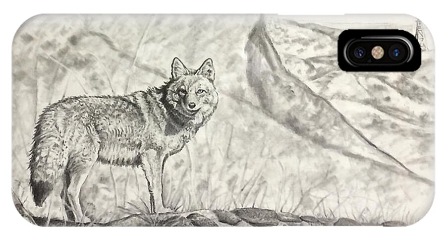 Art iPhone X Case featuring the drawing Coyote by Bern Miller