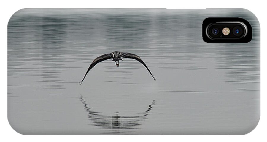 Crane In Flight iPhone X Case featuring the photograph Crane Above Water by David Arment