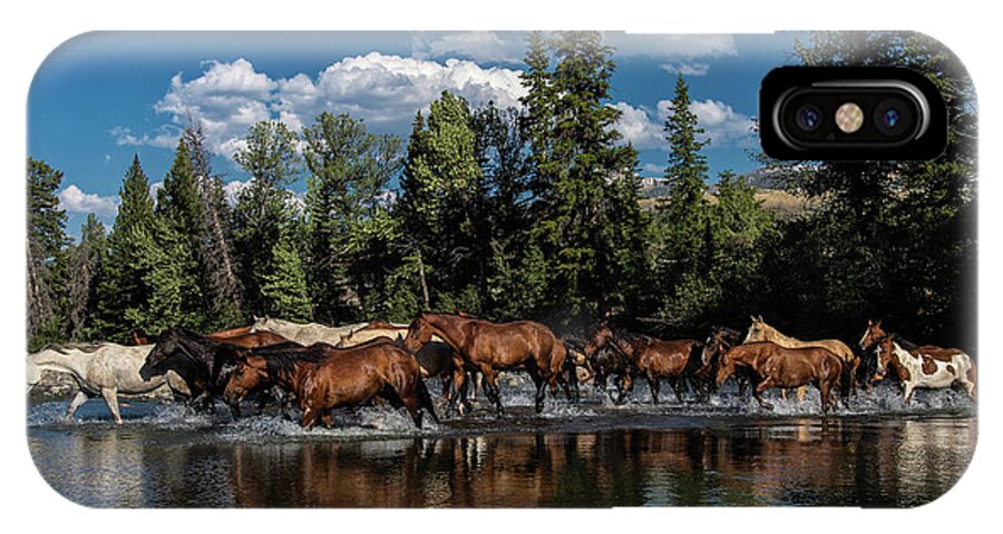Horses iPhone X Case featuring the photograph Crossing Over by Pamela Steege