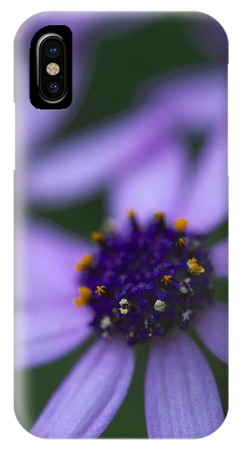 Flowers iPhone X Case featuring the photograph Crowned with Purple by Jessica Myscofski