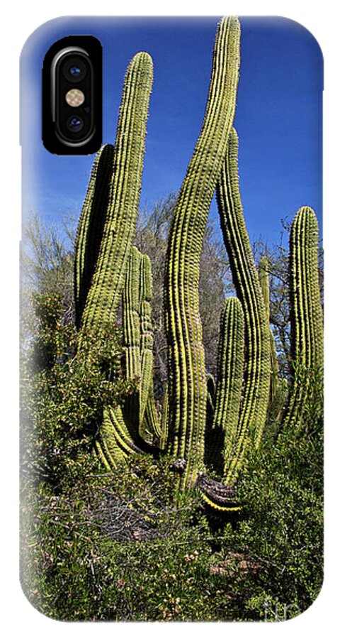 Arizona iPhone X Case featuring the photograph Curvy by Kathy McClure
