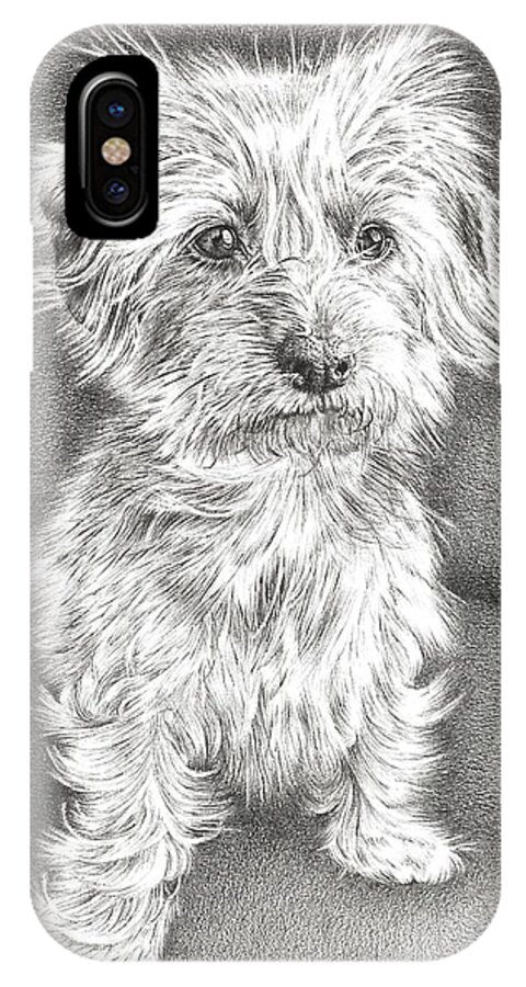 Dachshund iPhone X Case featuring the drawing Dachshund Maltese by Casey 'Remrov' Vormer