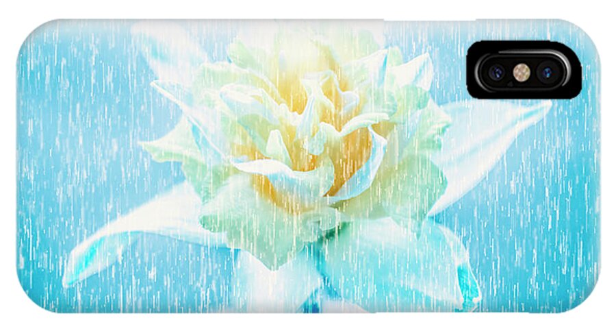 Dramatic iPhone X Case featuring the photograph Daffodil flower in rain. Digital art by Jorgo Photography