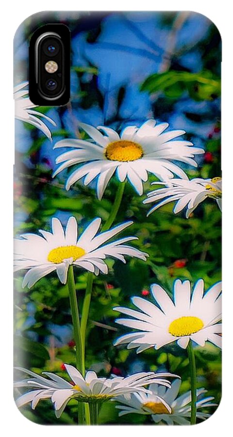  iPhone X Case featuring the photograph Daisies and Friends by Kendall McKernon