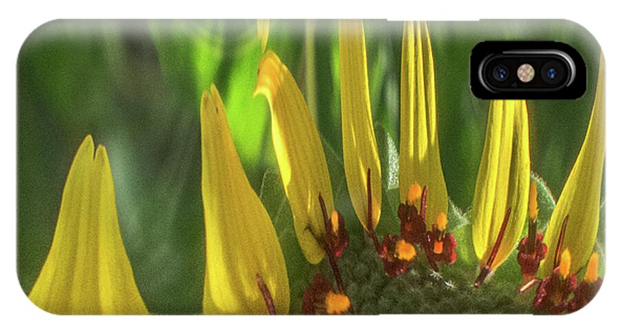 Berlandiera iPhone X Case featuring the photograph Daisy Abstract 032317-6357-4cr by Tam Ryan