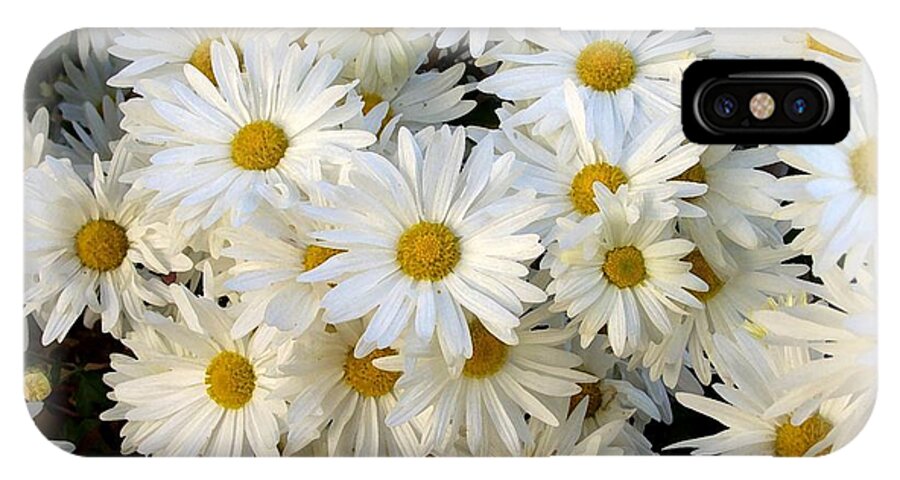 Daisy iPhone X Case featuring the photograph Daisy Bouquet by Carol Sweetwood