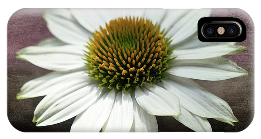 Flower iPhone X Case featuring the photograph Daisy by Scott and Dixie Wiley