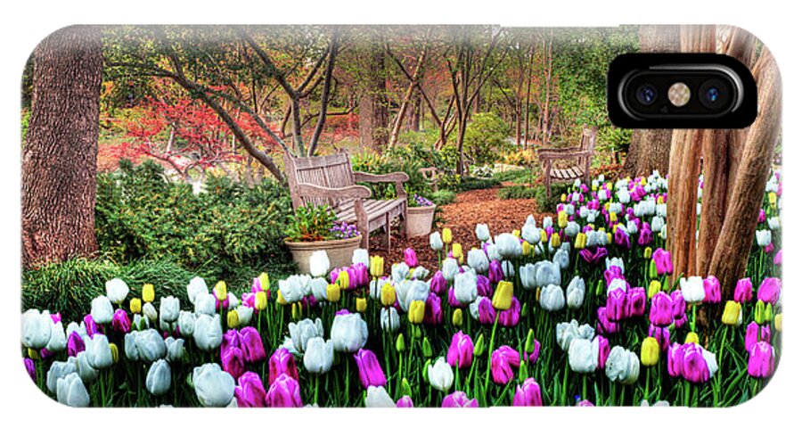 Tulip iPhone X Case featuring the photograph Dallas Arboretum by Tamyra Ayles