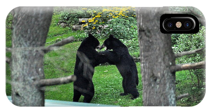 #black Bears iPhone X Case featuring the photograph Dancing Bears by Cornelia DeDona