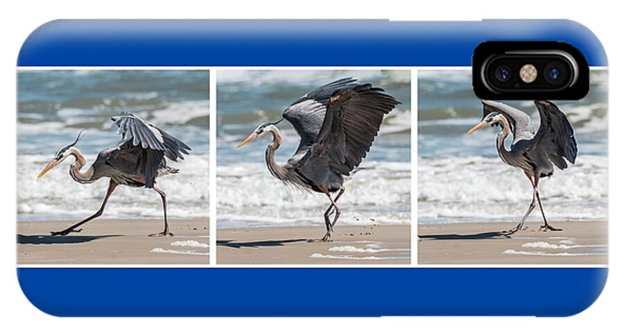 Great Blue Heron iPhone X Case featuring the photograph Dancing Heron Triptych by Patti Deters