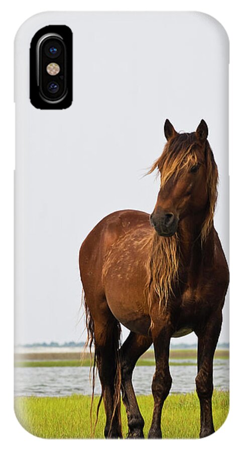 Wild iPhone X Case featuring the photograph Dark Stallion by Bob Decker
