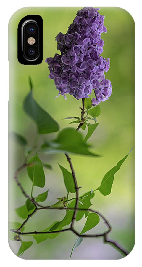 Flower iPhone X Case featuring the photograph Dark violet lilac by Jaroslaw Blaminsky