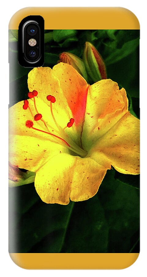Yellow iPhone X Case featuring the photograph Delicate Yellow Flower by Barbara J Blaisdell