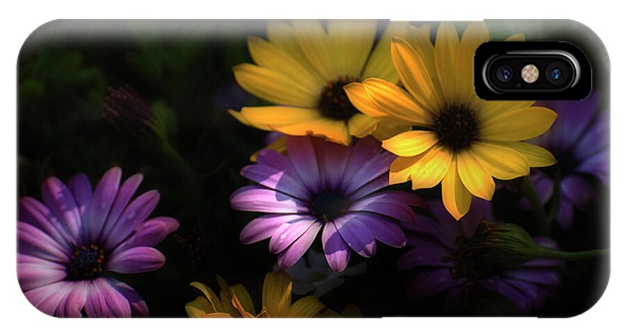 Daisies iPhone X Case featuring the photograph Delightful Daisies by Robin Webster