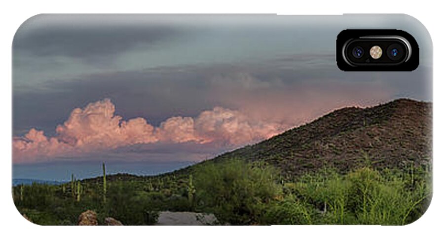 Sonoran Desert iPhone X Case featuring the photograph Desert Delight by Gaelyn Olmsted