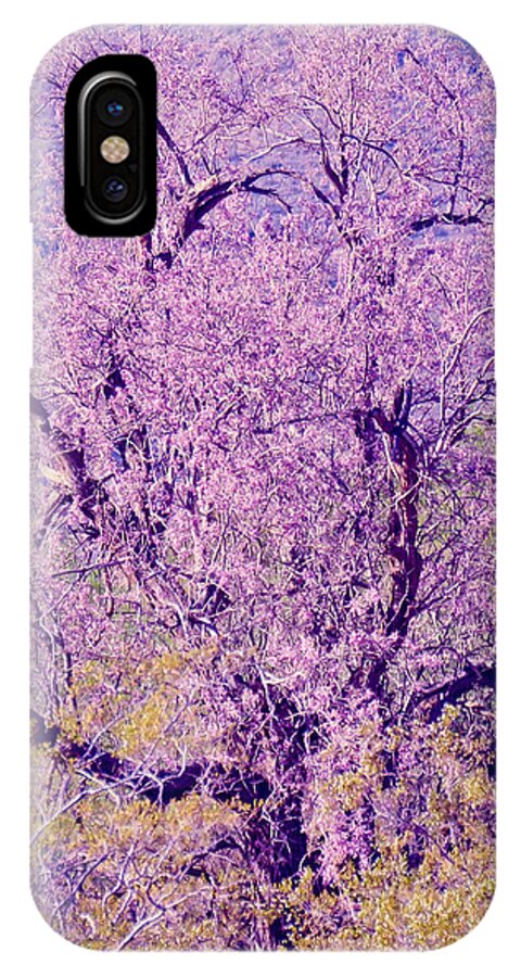 Arizona iPhone X Case featuring the photograph Desert Ironwood Beauty 2 by Judy Kennedy