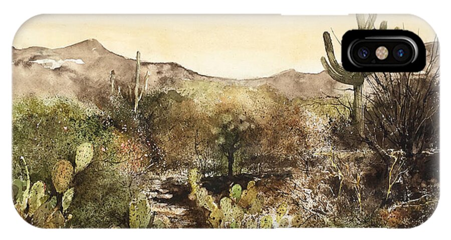 A Desert Scene At The Arizona-sonora Desert Museum Near Tucson iPhone X Case featuring the painting Desert Walk by Monte Toon