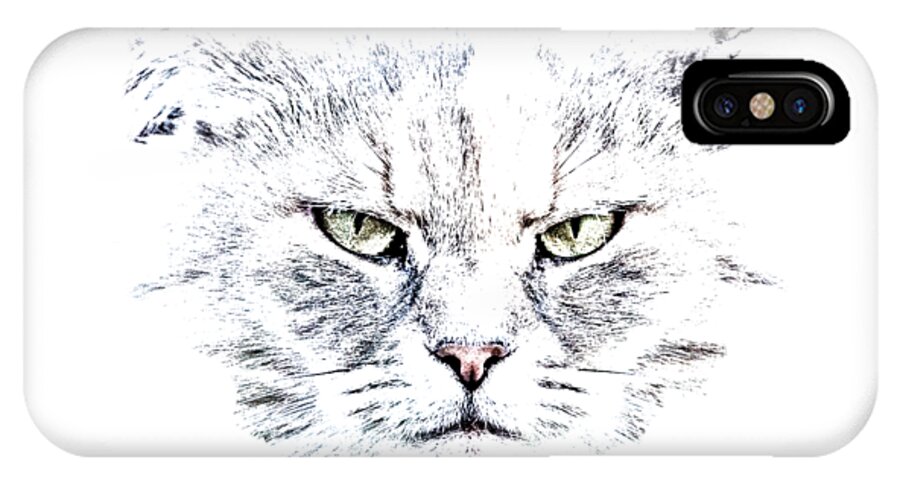 Cat iPhone X Case featuring the photograph Disturbed Cat by Everet Regal