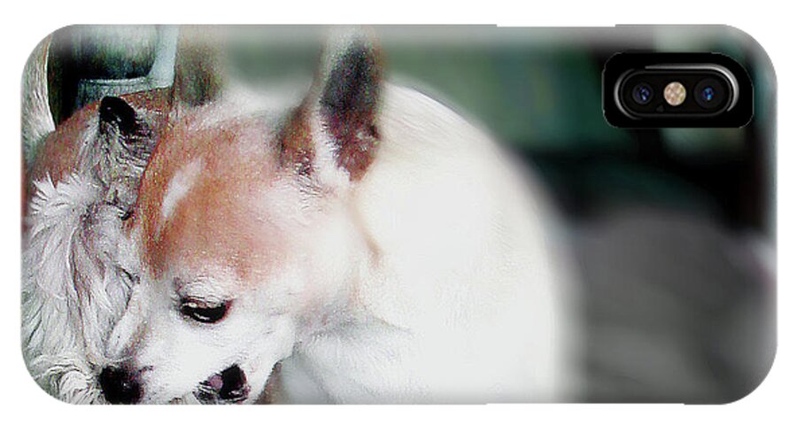 Art iPhone X Case featuring the digital art Dog Love Art 4 by Miss Pet Sitter