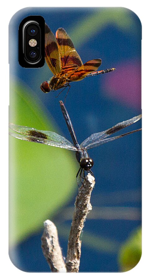 Dragon Fly iPhone X Case featuring the photograph Dragon Fly 195 by Michael Fryd