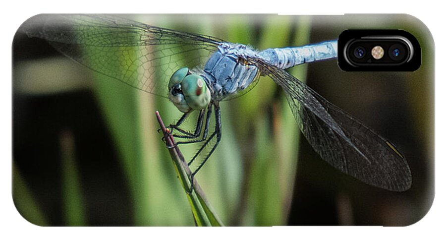 Dragonfly iPhone X Case featuring the photograph Dragonfly 13 by Christy Garavetto