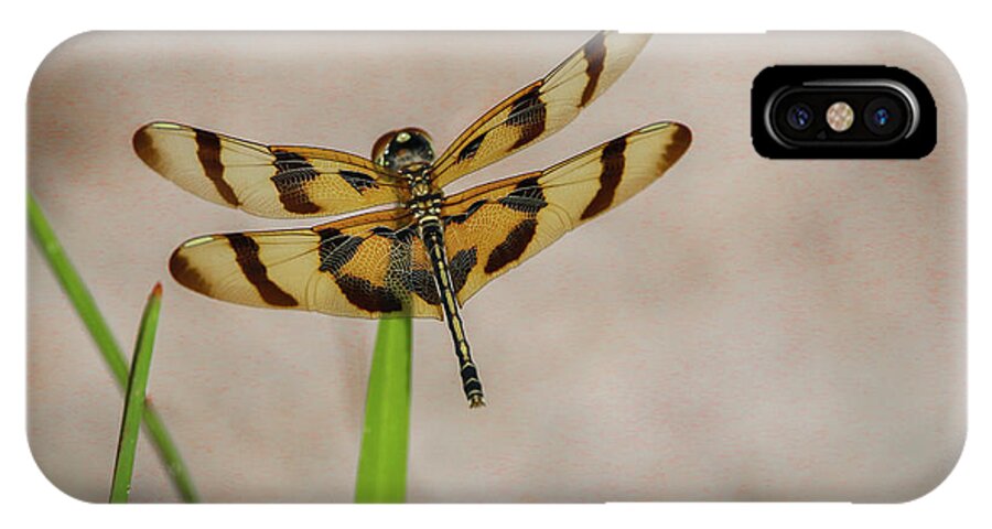 Dragonfly iPhone X Case featuring the photograph Dragonfly on Grass by Tom Claud