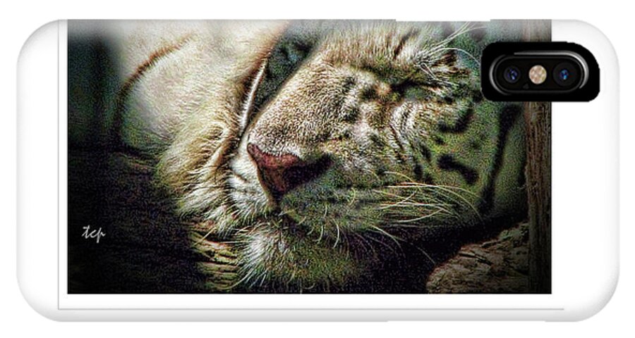 Tiger iPhone X Case featuring the photograph Dream Bigger by Traci Cottingham