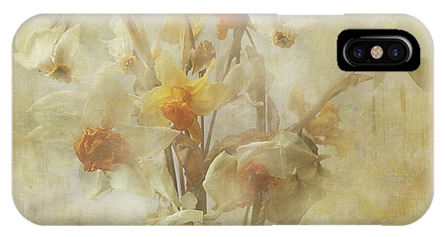 Flowers iPhone X Case featuring the photograph Dried Narcissus by Ann Jacobson