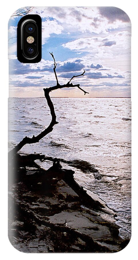 Barnegat iPhone X Case featuring the photograph Driftwood Dragon-Barnegat Bay by Steve Karol