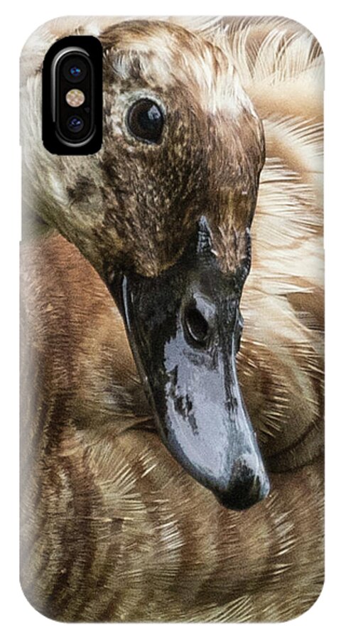 Dunbar Cave State Park iPhone X Case featuring the photograph Ducks Head by John Benedict