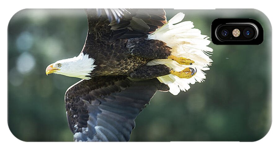 Bald Eagle iPhone X Case featuring the photograph Eagle Flying 3005 by Steve Somerville