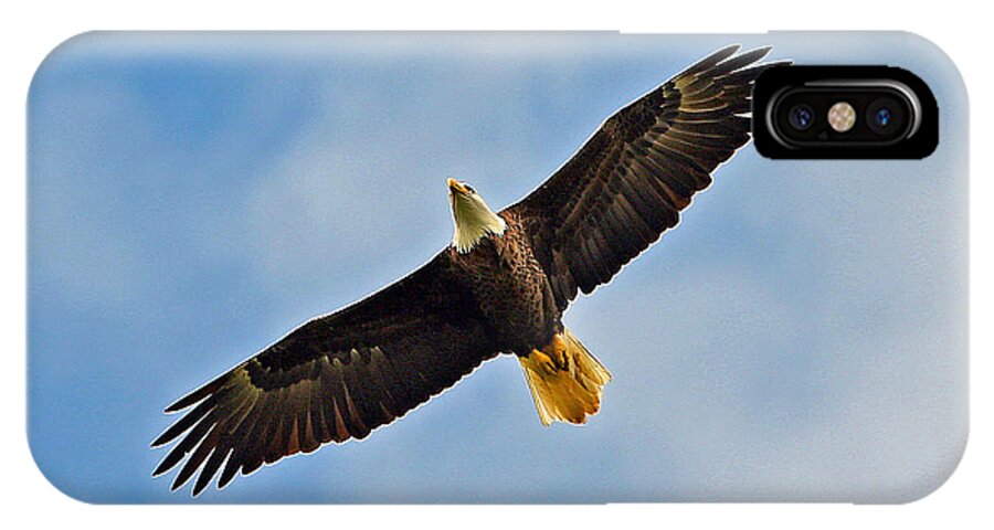  iPhone X Case featuring the photograph Eagle in Flight by Don Solari