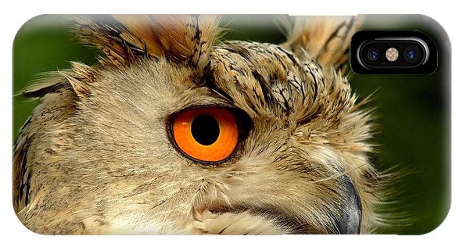 Wildlife iPhone X Case featuring the photograph Eagle Owl by Jacky Gerritsen