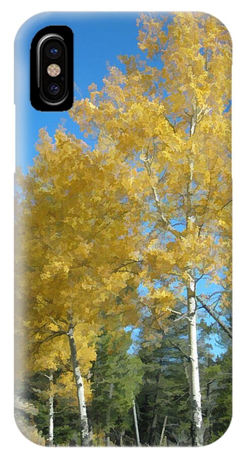Aspen iPhone X Case featuring the photograph Early Autumn Aspens by Gary Baird