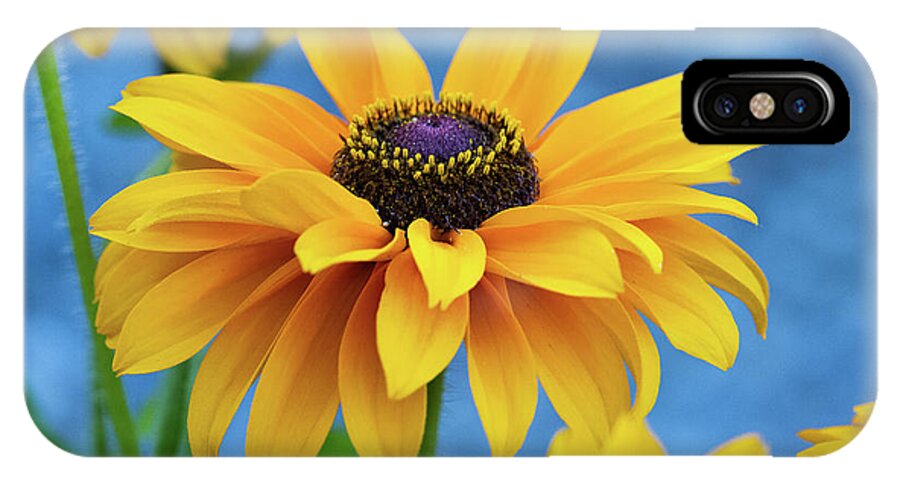 Flower iPhone X Case featuring the photograph Early Morning Delight by Randy Wood
