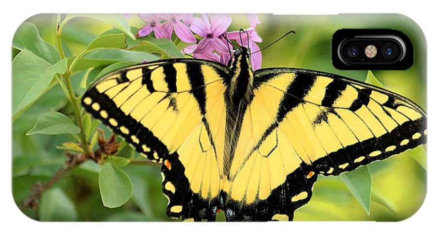 Nature iPhone X Case featuring the photograph Eastern Tiger Swallowtail Butterfly by Sheila Brown