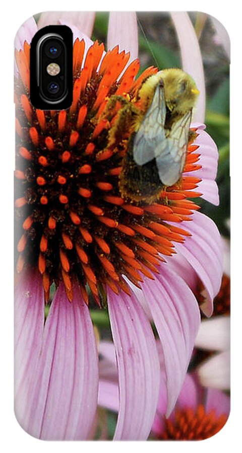 Echinacea Purpura iPhone X Case featuring the photograph Echinacea Tea Time For Bee by Kristin Aquariann