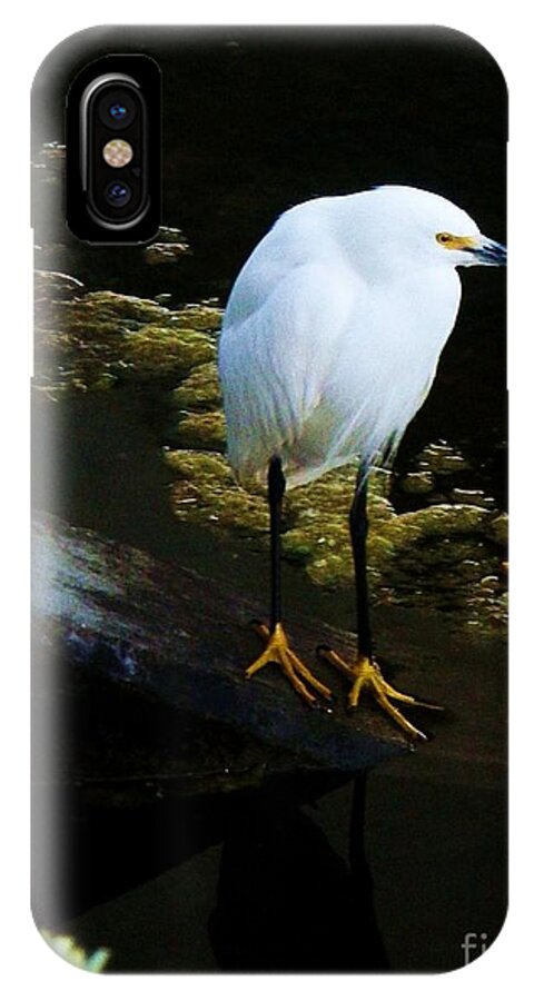 Egrets iPhone X Case featuring the photograph Egret by Daniele Smith