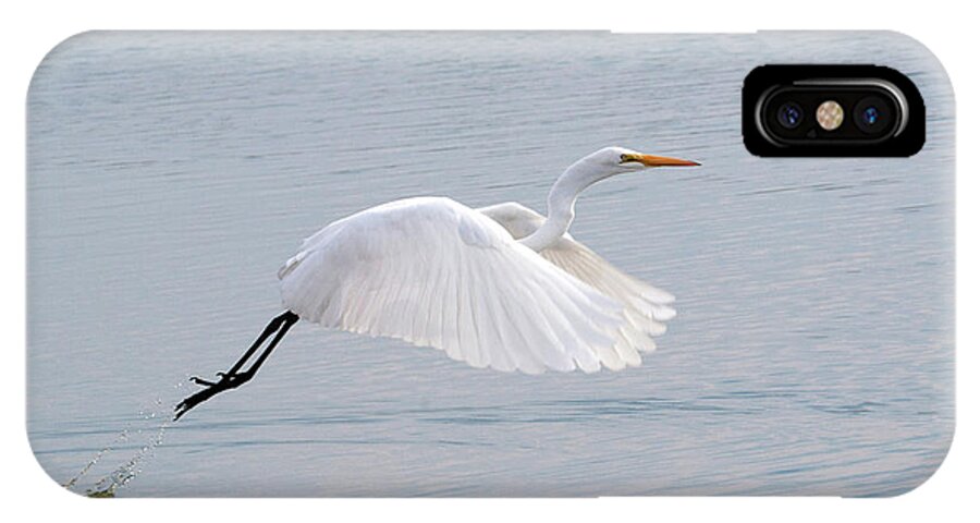 Egret iPhone X Case featuring the photograph Egret Taking Off 1 by Catherine Lau