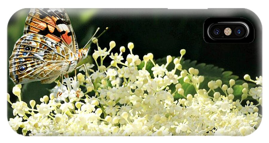 Butterfly iPhone X Case featuring the photograph Elderflower and Butterfly by Morag Bates